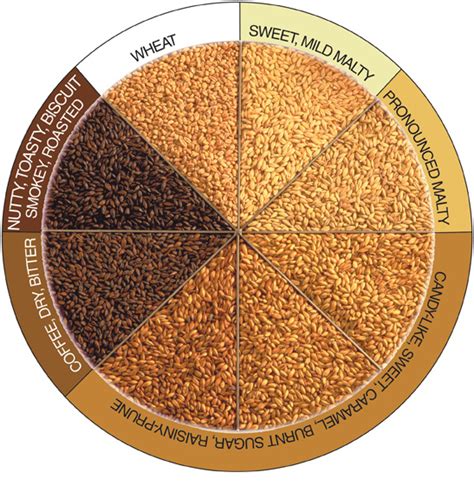 how to use roasted barley.